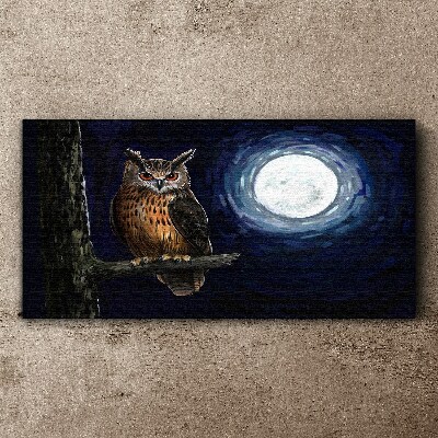 Vászonkép Bagoly a holdfényben