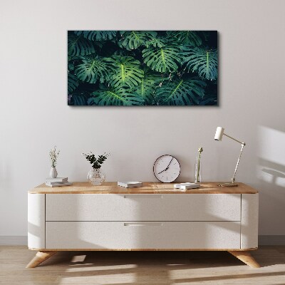Vászonkép Trópusi zöld a Monstera levelekben