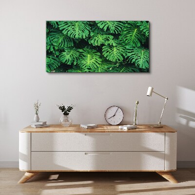 Vászonkép Trópusi levélmozaik