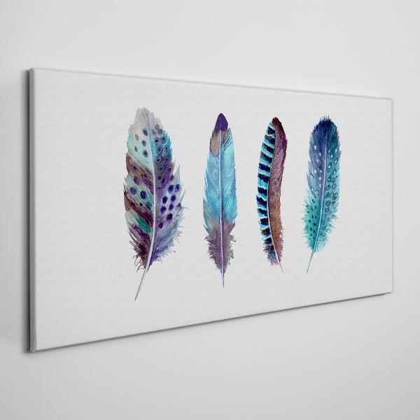 Vászonkép Színes tollak fehér alapon