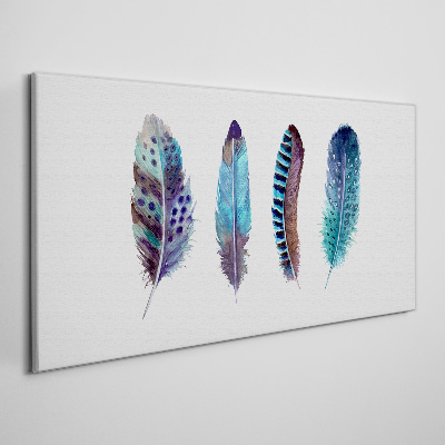 Vászonkép Színes tollak fehér alapon