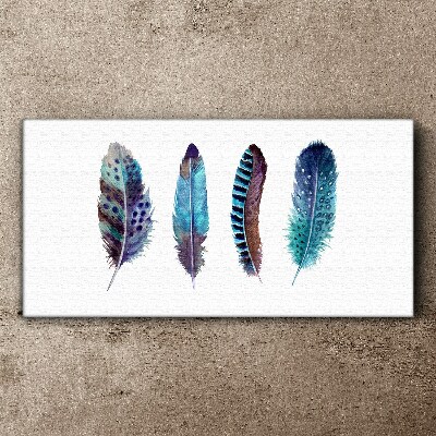Vászonkép Színes tollak fehér alapon
