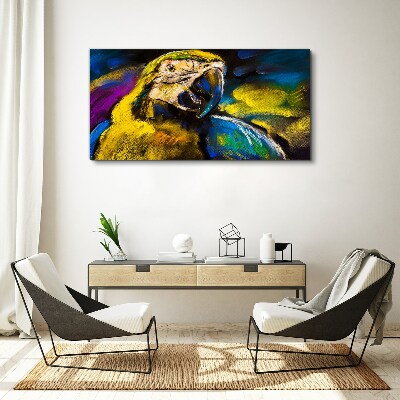 Vászonkép Egy papagáj színes portréja