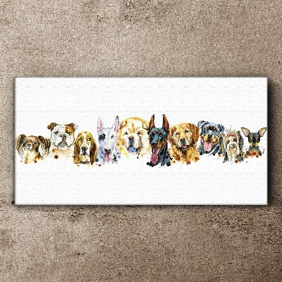 Vászonkép Kutyás barátságok