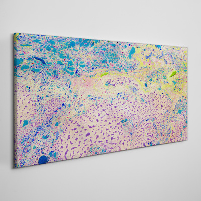 Vászonkép Az absztrakció színes káosza