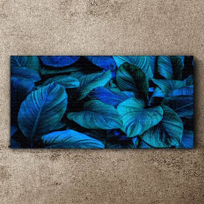 Vászonkép Zöld paradicsom a kék árnyalataiban