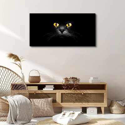 Vászonkép Egy macska arany szeme árnyékban