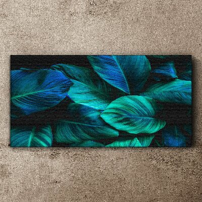 Vászonkép Zöld levelek mély árnyékban