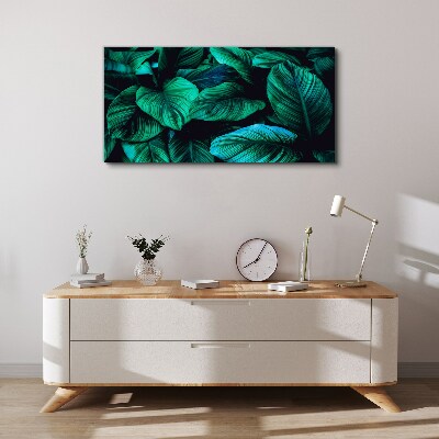 Vászonkép Zöld trópusi levelek