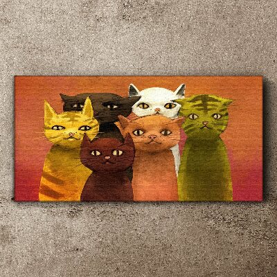 Vászonkép Macskák színes harmóniában