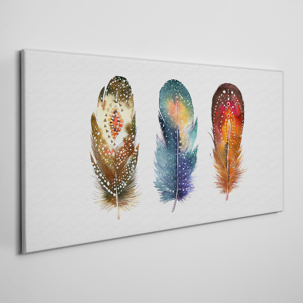 Vászonkép Színes tollak