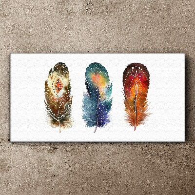Vászonkép Színes tollak