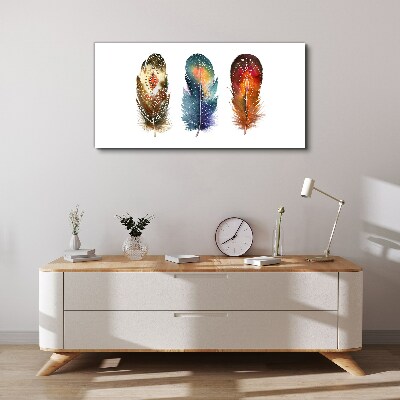 Vászonkép Színes tollak