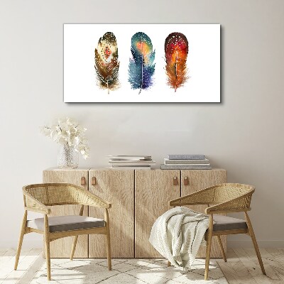 Vászonkép Színes tollak