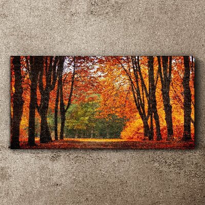 Vászonkép Őszi fa sikátor