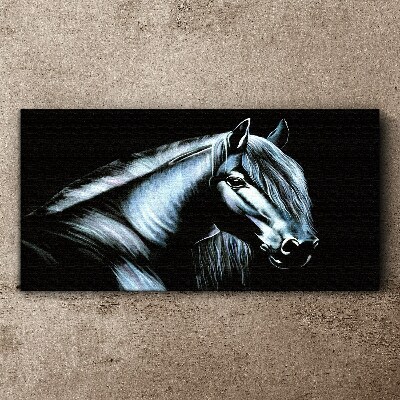 Vászonkép Egy sötét ló a fény izzásában