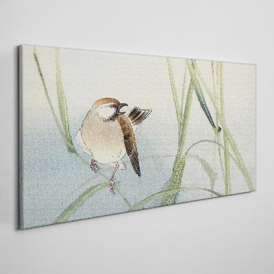 Vászonkép Cinege a fűben