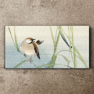 Vászonkép Cinege a fűben