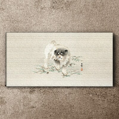 Vászonkép Kutya a fű háttérben