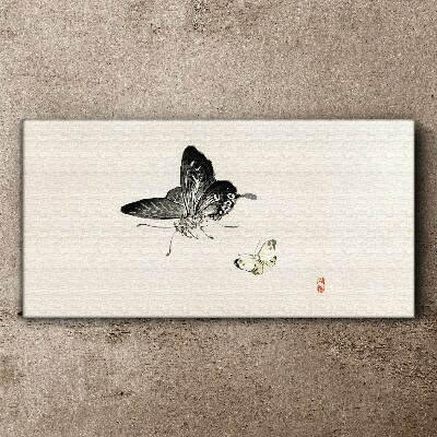 Vászonkép Pillangók finom harmóniában