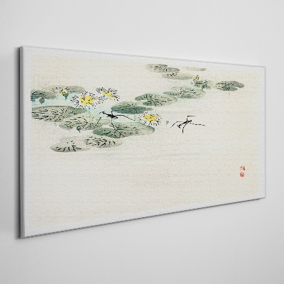 Vászonkép Tavirózsa egy nyugodt vízfelületen