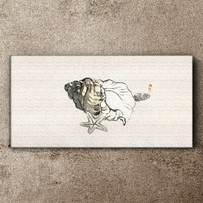 Vászonkép Tengeri csillag kagyló