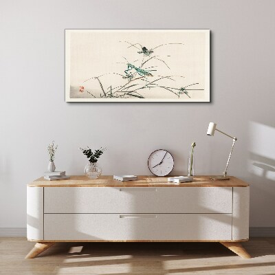 Vászonkép Pillangó a fűben