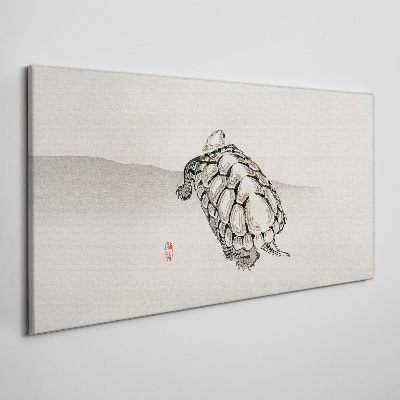 Vászonkép Teknős minimalista háttérrel