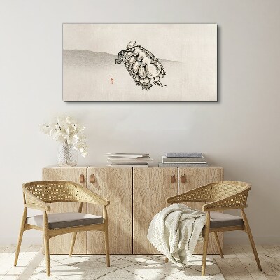 Vászonkép Teknős minimalista háttérrel