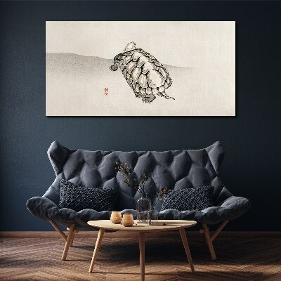 Vászonkép Teknős minimalista háttérrel