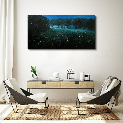 Vászonkép Éjszakai fények az erdőben
