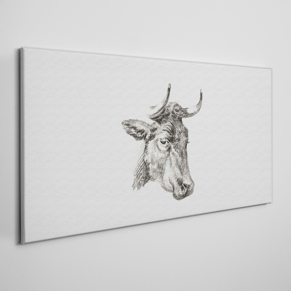 Vászonkép Portré egy tehén fehér alapon