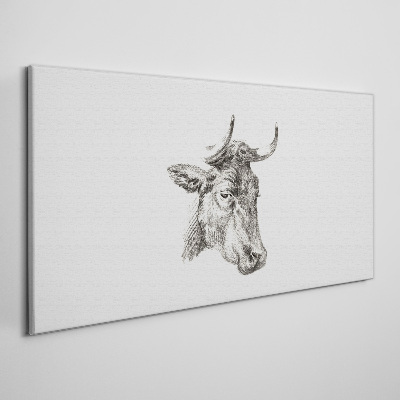 Vászonkép Portré egy tehén fehér alapon