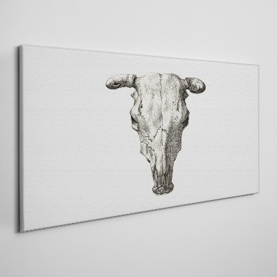 Vászonkép Koponya fehér alapon