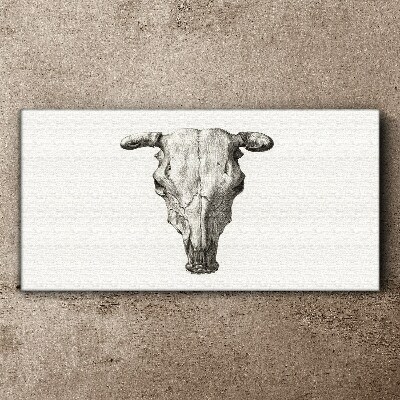 Vászonkép Koponya fehér alapon