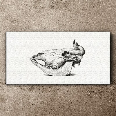 Vászonkép Állati koponya