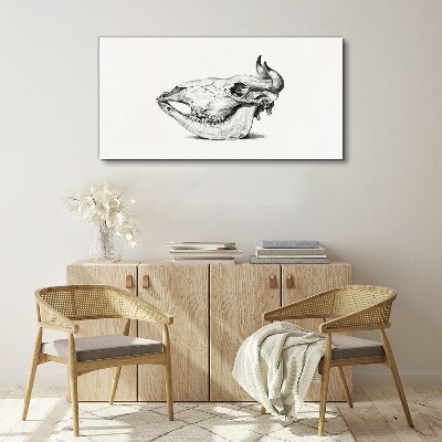 Vászonkép Állati koponya