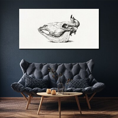 Vászonkép Állati koponya