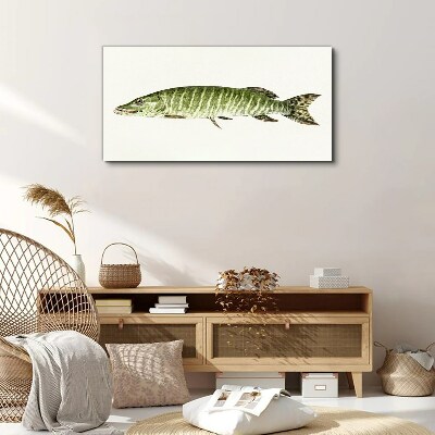 Vászonkép Muskie természetes élőhelyén