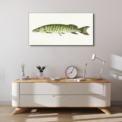 Vászonkép Muskie természetes élőhelyén