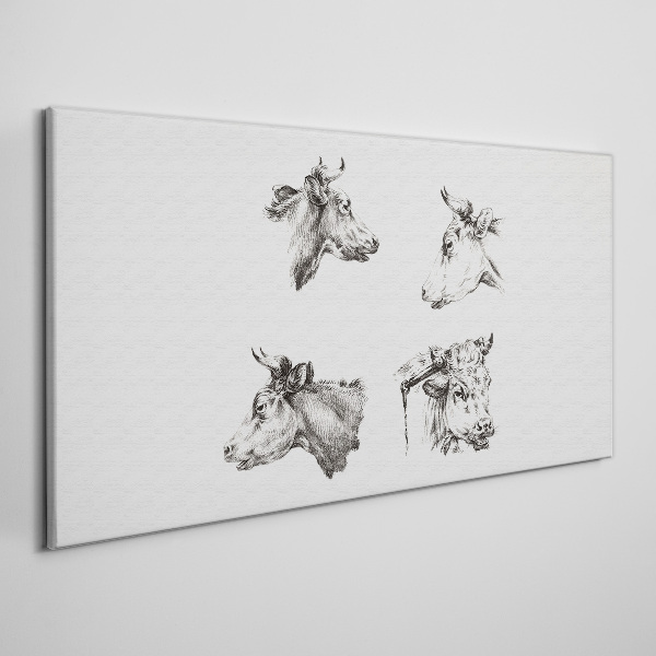 Vászonkép Szarvasmarha fekete-fehér portréja