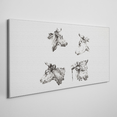 Vászonkép Szarvasmarha fekete-fehér portréja