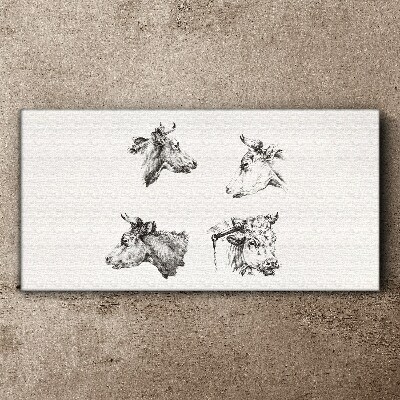 Vászonkép Szarvasmarha fekete-fehér portréja