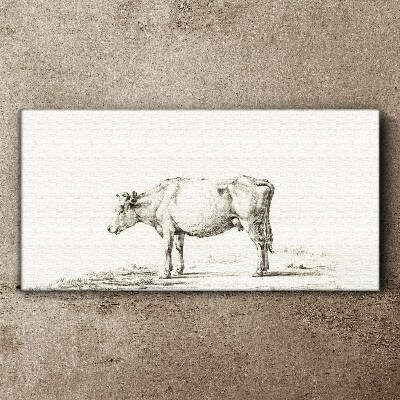 Vászonkép Nyugodt tehén a természet hátterében