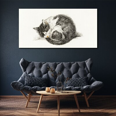 Vászonkép Macska álma monokróm árnyalatokban