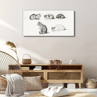 Vászonkép A macskák különböző testhelyzetei
