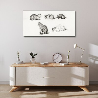 Vászonkép A macskák különböző testhelyzetei