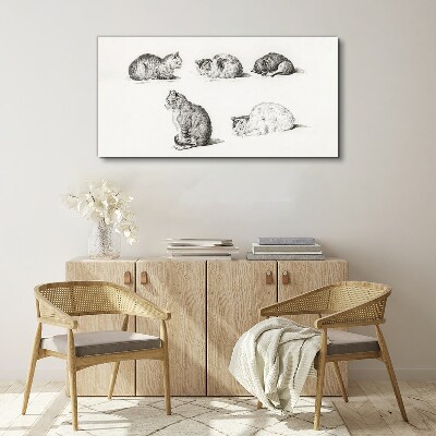 Vászonkép A macskák különböző testhelyzetei