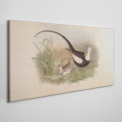 Vászonkép Madarak a fűben