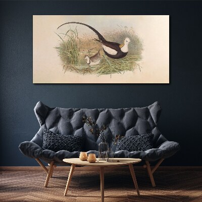 Vászonkép Madarak a fűben